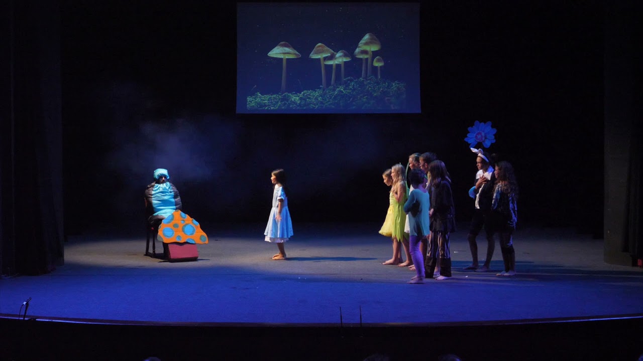 Alenka v říši divů - LIVE ART! CAMP 2021