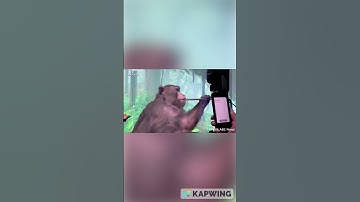 Top 7 Brain Computer Interface (BCI) Devices of 2022 | AI Future Tech