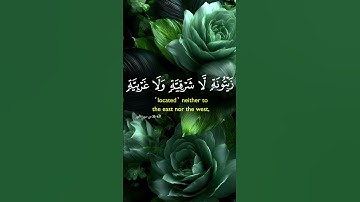 QURAN | قرآن كريم #qurankareem #اكسبلور #المصحف #capcut #duet #quran #حالات_واتس #قرآن #دويتو