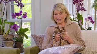 Pretty Litter Commercial martha Stewart 012023