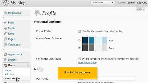 How to change your password in WordPress