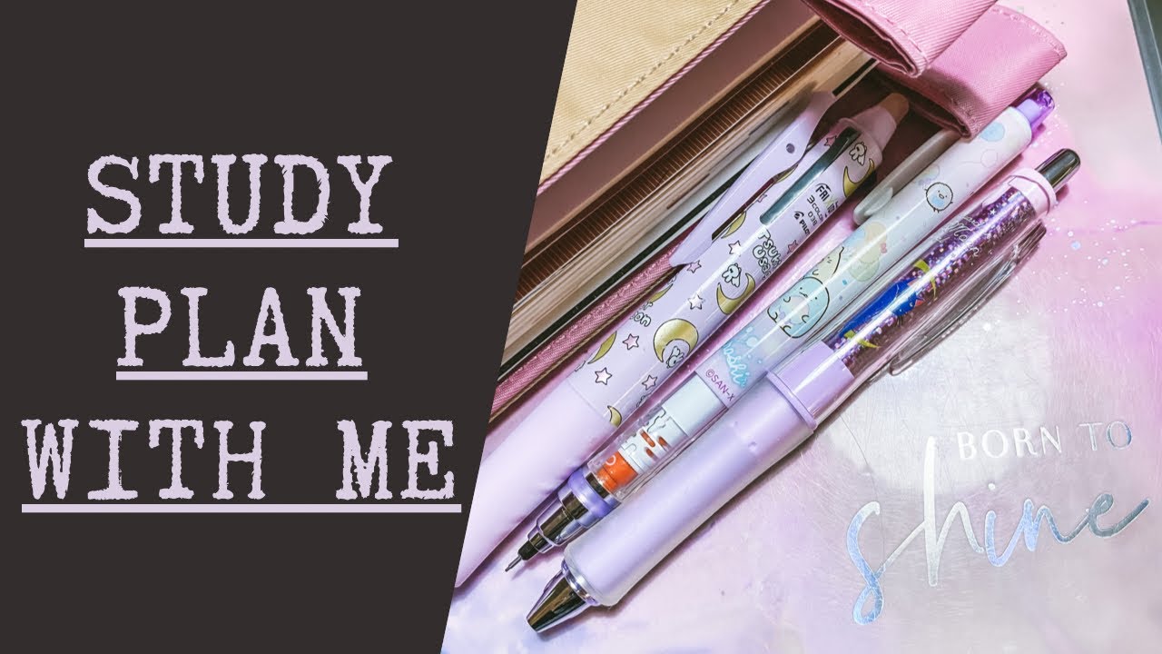 Happy Planner Notes | Study Plan and Walkthrough of my CPA Notes Binder for REG