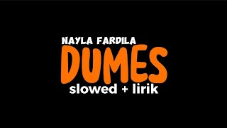 DUMES - NAYLA FARDILA (LIRIK   SLOWED)