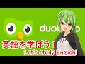 【Duolingo】まぐろが英語の勉強をします#34【英語/English】