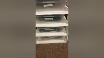 2021 Boa constrictor collection