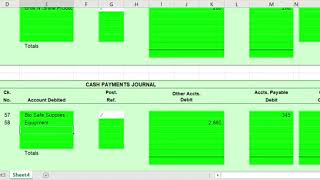 Chapter 5   Exercise 5 17 Purchases and Cash Payments Journals Wealth