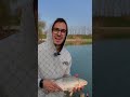 un piccolo carassio è venuto a farci visita #pesca #fishing #method #pescasportiva #video
