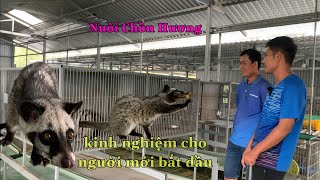 Kiên Trì,Đam Mê ,Ham Học Hỏi Là Những Yếu Tố Giúp Bạn Nuôi Chồn Hương Thành Công|GCN