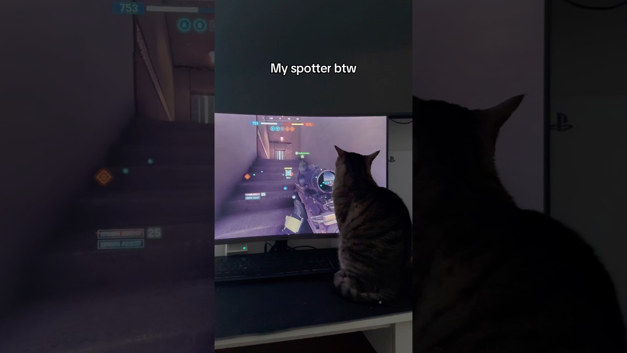 Мой корректировщик лучше твоего!