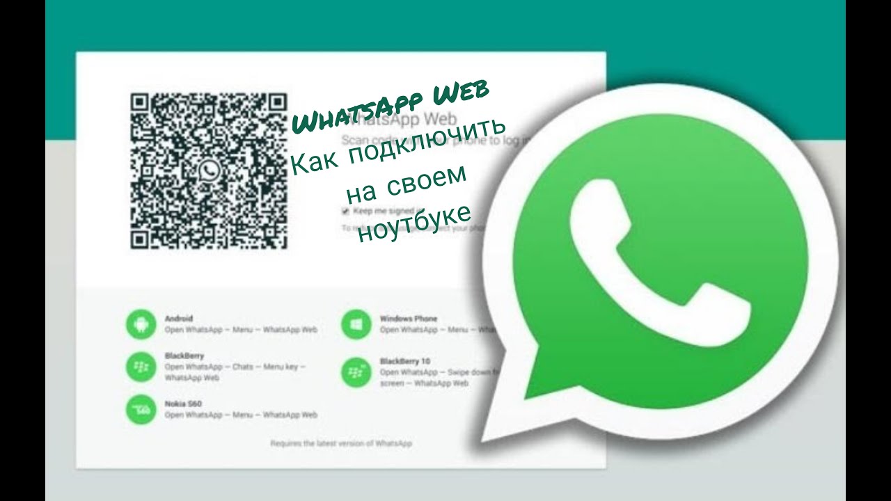 Визитка whatsapp. Ватсап. Ватс веб. Вацап веб. Ватсап на визитке.