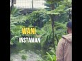WANI Instaman mp3