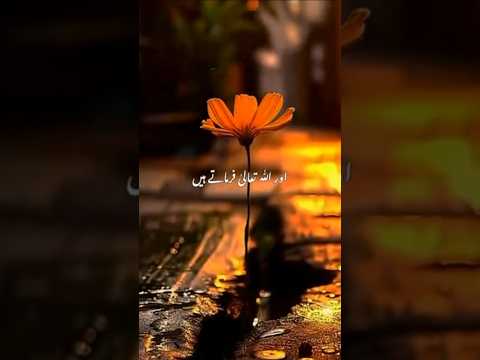 ✨Beautiful Bayaan 💖#islamicvideo #islamicshorts #islam #ajmalrazaqadri #beautifulbayan