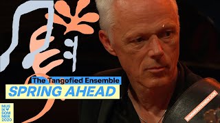 Spring Ahead //The Tangofied Ensemble (Sommerscenen LIVE)