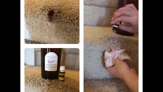 Removing Paint From Carpet Using Young Living Essential Oils!!