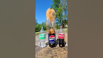 Popular Coke Sodas Vs Mentos (SLOW MO) (Coke, Sprite, Fanta) #satisfying #experiment #asmr