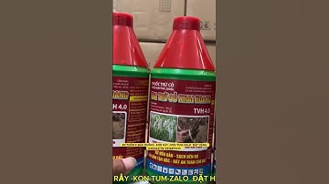 Hướng dẫn kèm báo giá thuốc Vua trừ cỏ khai hoang tốt nhất hiện nay