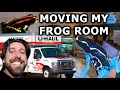 Moving my frog room