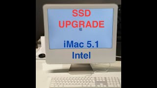 mqdefault.jpg