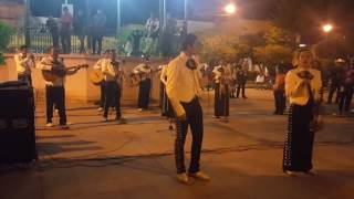 Que chulos ojos - Mariachi fiesta en Jalisco