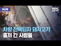 [이슈톡] 차량 전복되자 돼지고기 훔쳐 간 사람들 (2020.08.13/뉴스투데이/MBC)