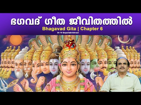 PART - 15 |Bhagavad Gita in daily life | ഭഗവദ് ഗീത ജീവിതത്തിൽ | DrN Gopalakrishnan @hinduismmalayalam
