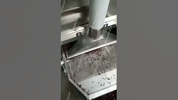 LG Cocoa Bean peeling Machine Working Video From Vivian