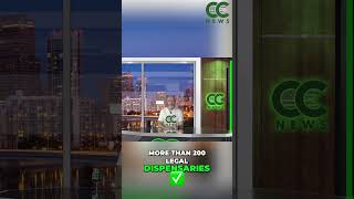 World Cup: Cannabis Businesses & Regulators Seize Global Opportunity
