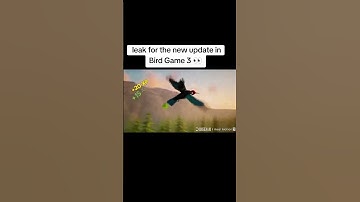 Bird Game 3 update leaks