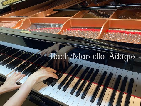 マルチェッロ　アダージオ - オーボエ協奏曲より - バッハ編曲   Bach / Marcello - Adagio  Concerto in D minor, BWV 974