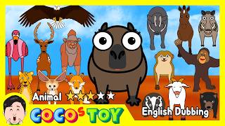 En Dubbing｜Can a baby capybara guess all the animal names? 2ㅣanimal names, quiz for kidsㅣCoCosToy