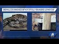 Greenville Zoo announces birth of critically endangered leopard cubs