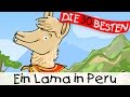 Download Lagu Ein Lama in Peru - Sommerlieder zum Mitsingen || Kinderlieder