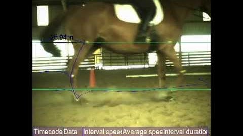 Obscure Lameness analyzed with Dartfish software
