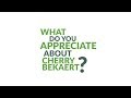 Life at cherry bekaert what do you appreciate about cherry bekaert