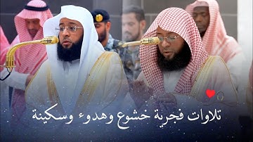 يا لجمال التلاوة ليتها لم تنته! فجريات مليئة بالهدوء والسكينة لبدر التركي | 20-26 ربيع الآخر 1447هـ