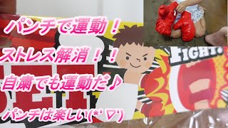 親子でおもちゃ開封♪ボクシングセットで運動だ！！