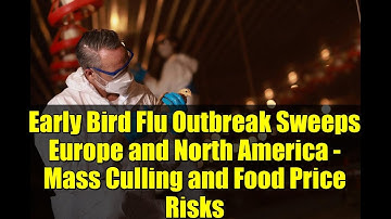 Early Bird Flu Outbreak Sweeps Europe and North America - Mass Culling and Food Price Risks