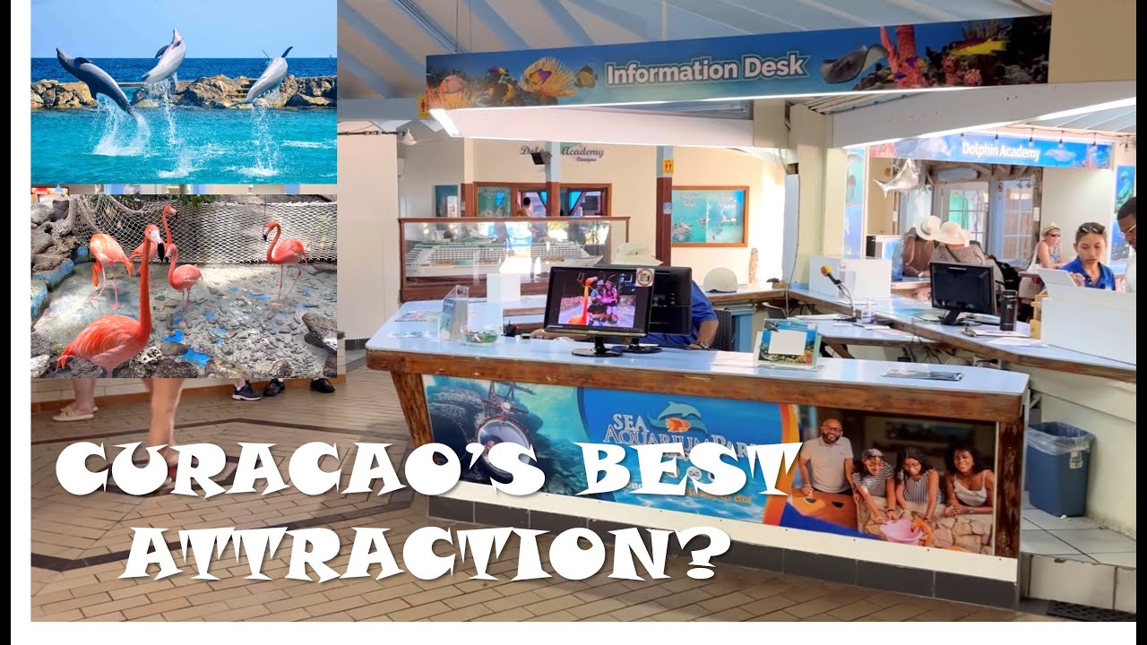 A Quick Tour of Curacao’s Sea Aquarium (Best Day Trip Idea)