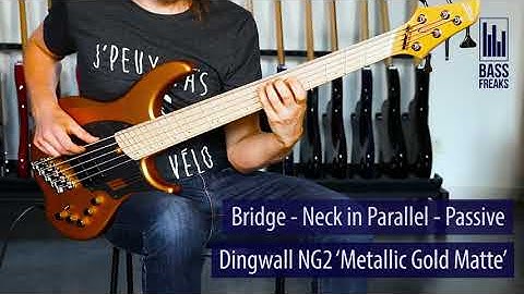 Dingwall Guitars NG2 5 Live Demo - BassFreaks.net