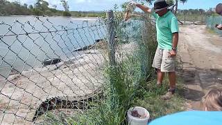 Koorana Crocodile Farm - Coowonga, Queensland, Australia. (Part 1/2)