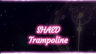 SHAED - Trampoline (Lyrics)