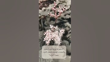 آيات قرآنيه عن الاستغفار