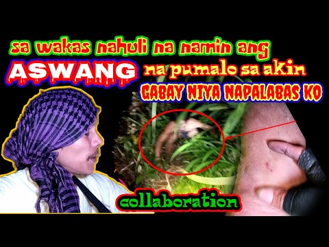 Download sa wakas nahuli at napalabas ko Ang gabay Ng aswang