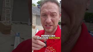 How Much should a roof cost in Macomb Michigan. full replacement.