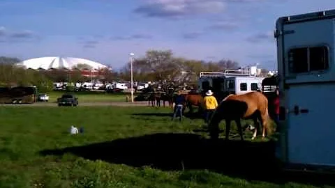 Cyndi Plasch beating horse with plastic bat at Midwest Horse Fair