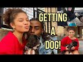 BTCH IM A MOTHA!! | Getting a dog LA VLOG