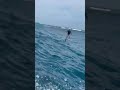 Tow foiling in Bali