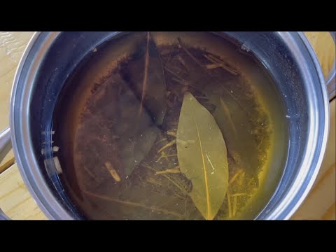 Video: Kaj so rudarji listov Allium - Nasveti za zdravljenje rudarjev Allium Leaf