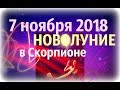 НОВОЛУНИЕ 7 ноября в ♏ СКОРПИОНЕ/ прогноз от Olga