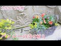 【パンジーを育てよう！】パンジーとシルバーリーフの寄せ植え